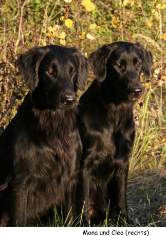 Mona und Cleo (rechts)