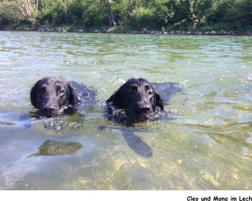 Cleo und Mona im Lech