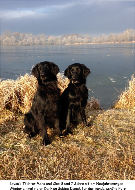 Bayous Tchter Mona und Cleo-8 und 7 Jahre alt-am Neujahrsmorgen Wieder einmal vielen Dank an Sabine Damek fr das wunderschne Foto!